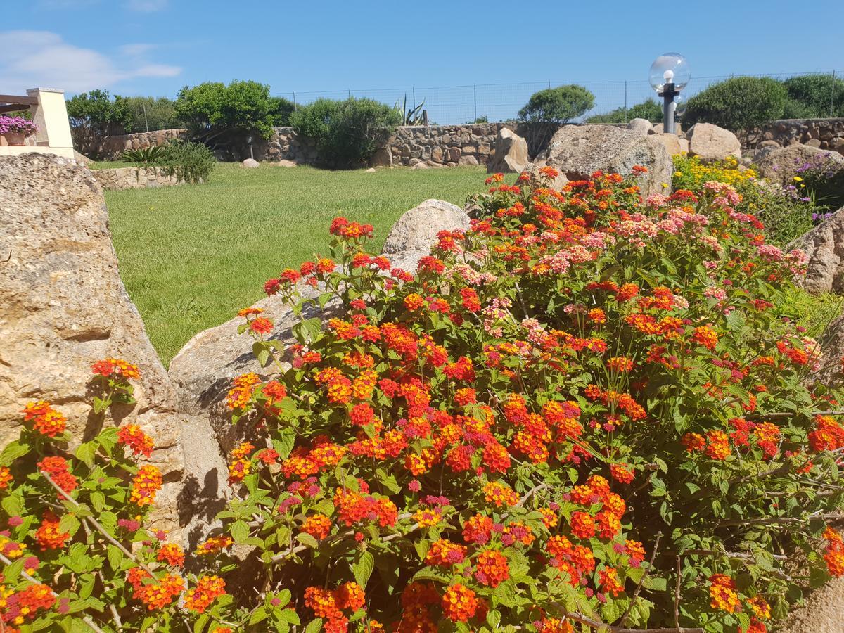 Villa Sprafundu La Maddalena  Exteriör bild