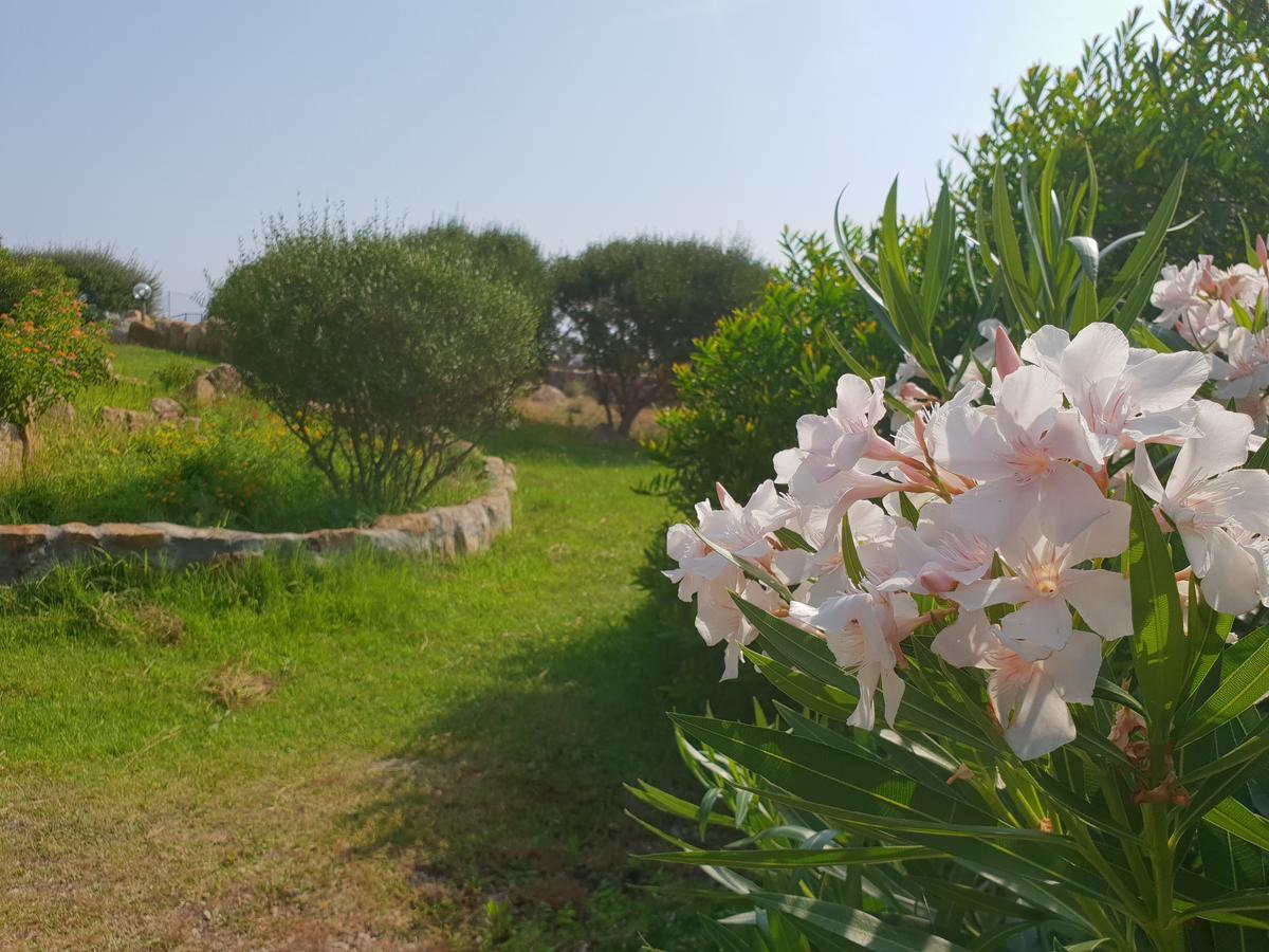 Villa Sprafundu La Maddalena  Exteriör bild