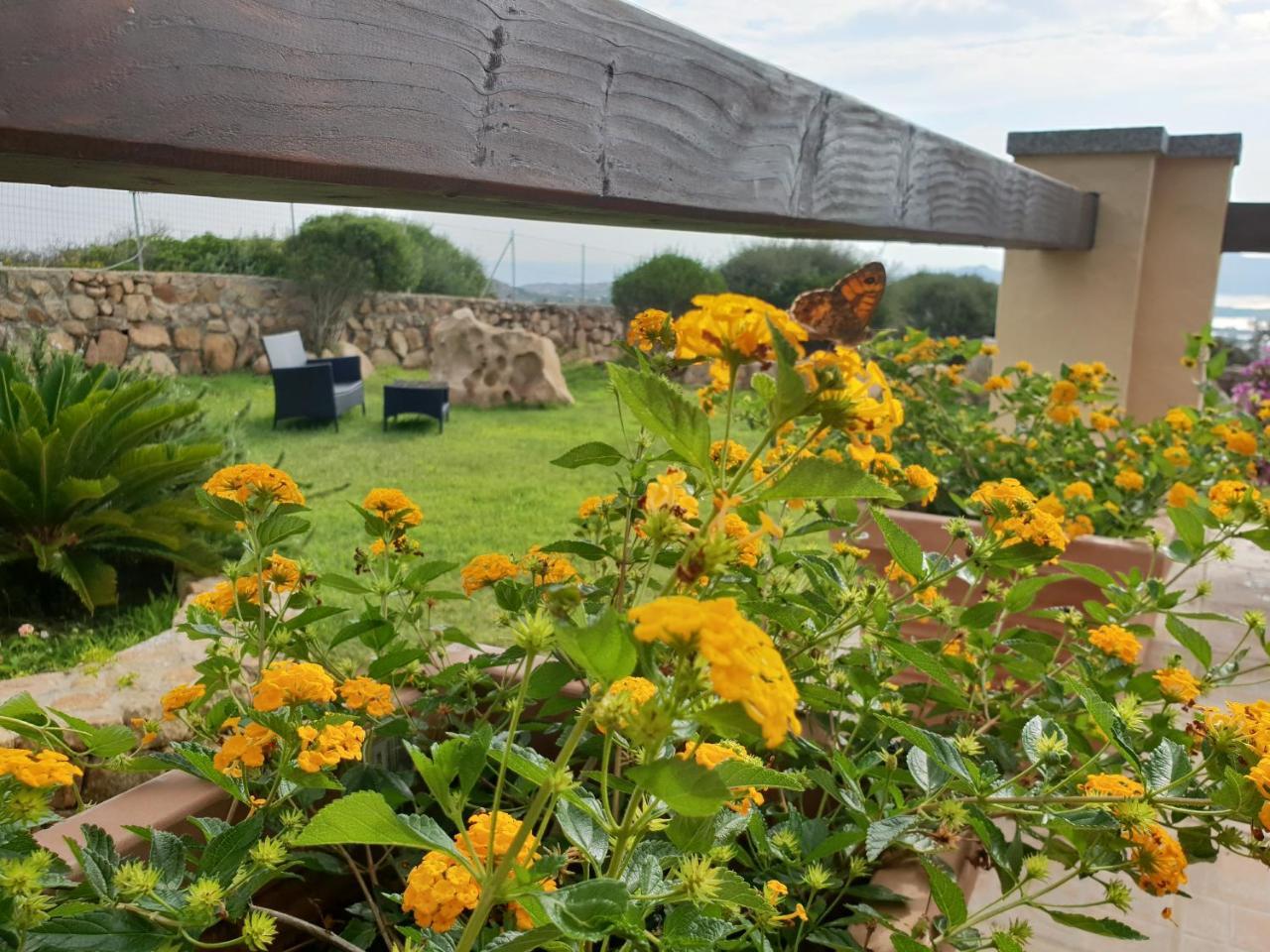 Villa Sprafundu La Maddalena  Exteriör bild